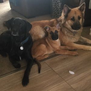 Meet your Posher, Jessy